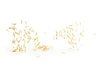 Orzo